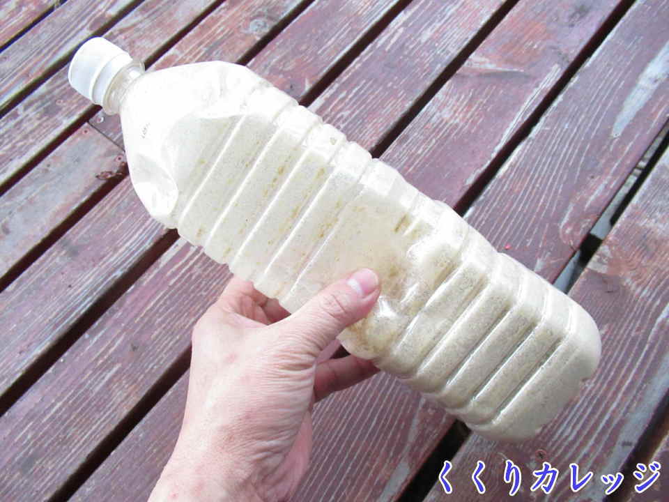 誘引餌はペットボトルに入れよう