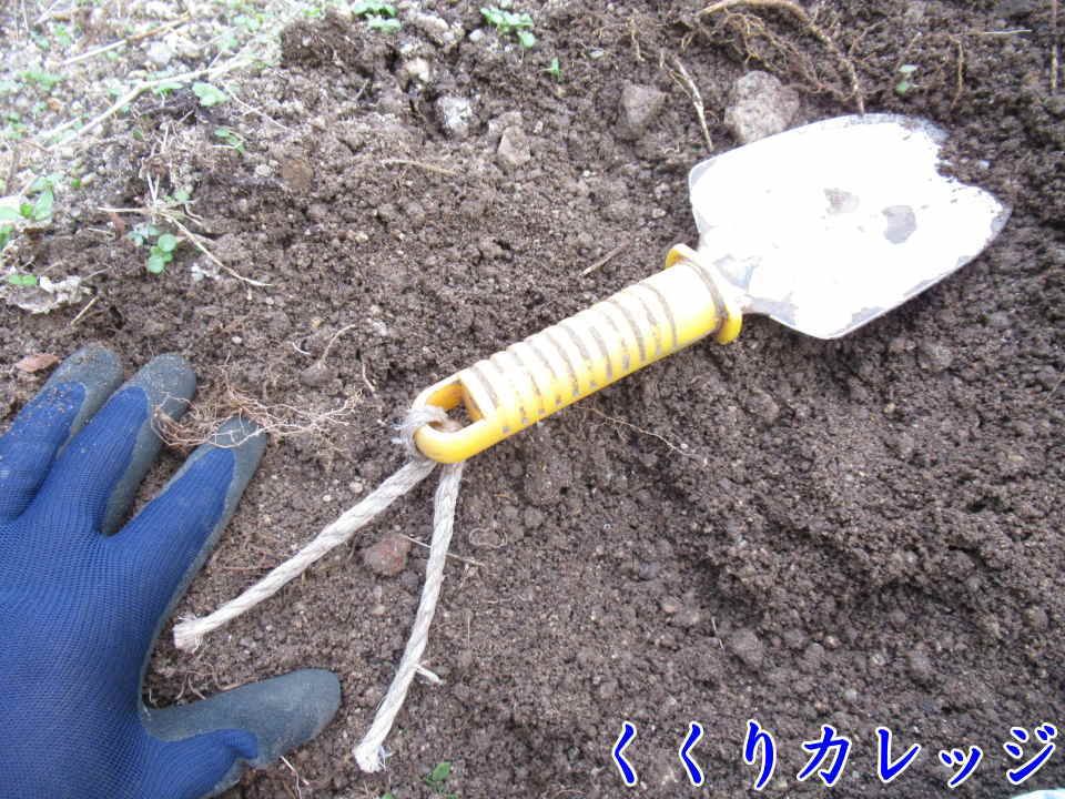 スコップ
くくり罠が空ハジキ、
露出してたらこれで補修。
