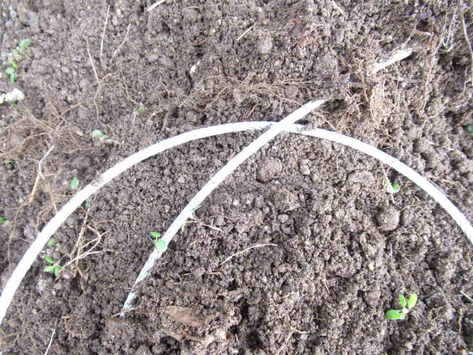 ワイヤーを土中に埋める