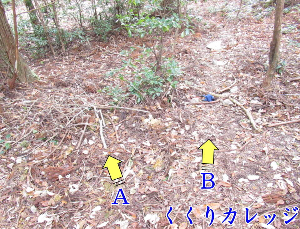 Y字路で片方を遮蔽物でふさぐ