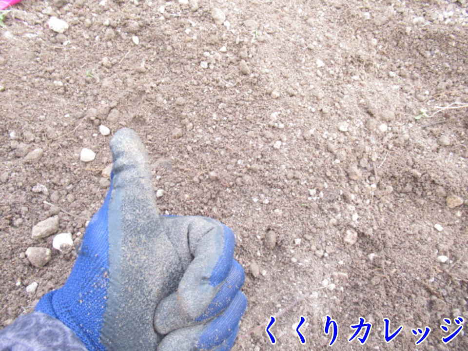 埋め戻しは平らにしよう！
石が見えたり、凸凹はダメですよ！
獲物に警戒されます