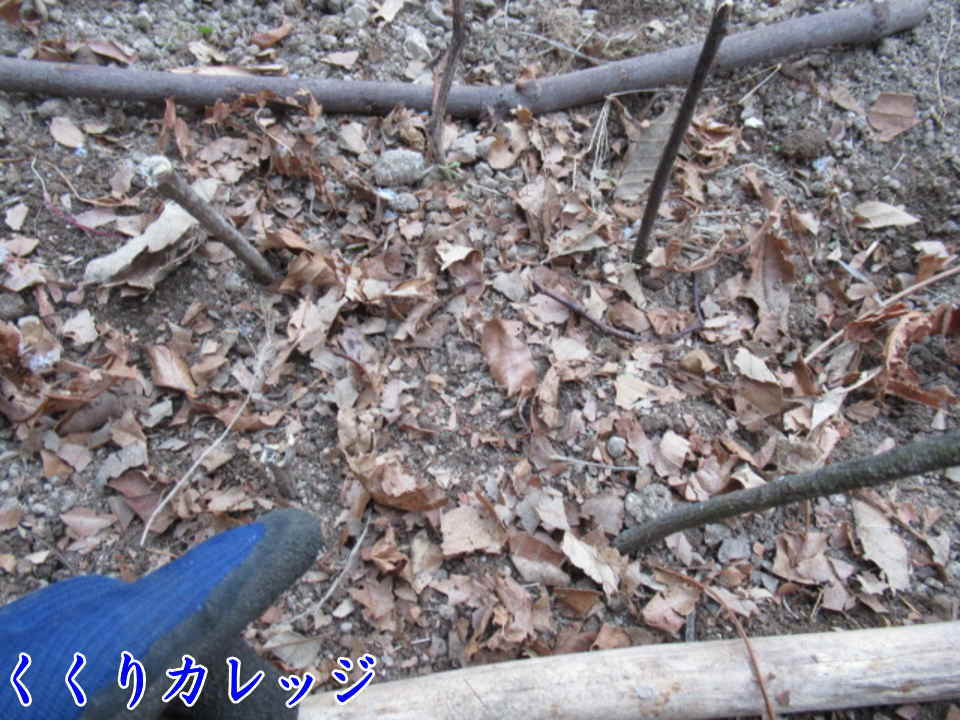 魔法のふりかけをパラパラと