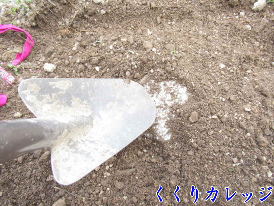 以前罠を設置した所から埋めといた石が！
罠設置が超ラクチン！