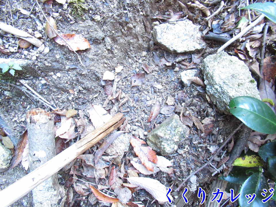 障害物を置く前