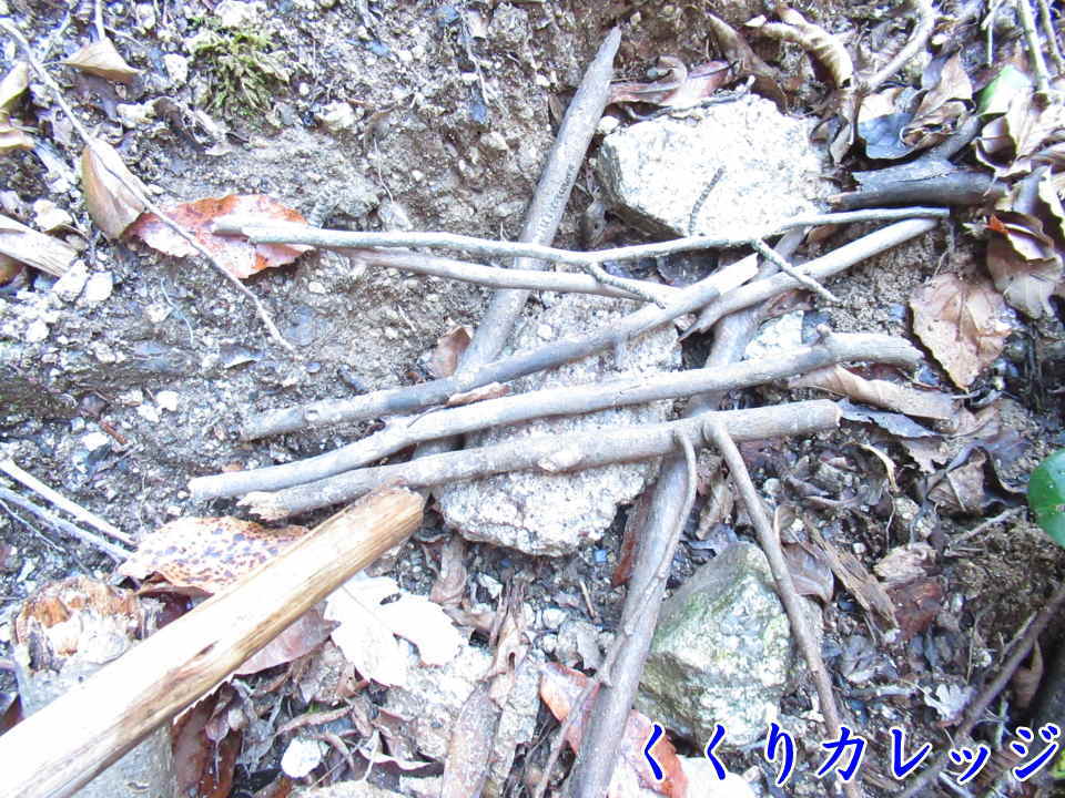 障害物を置いた後