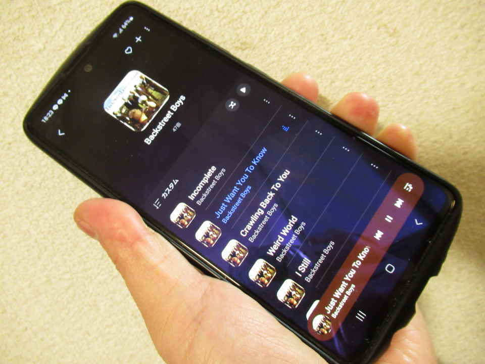 スマホで音楽を流してクマよけ対策
音を出していたら熊との遭遇を回避できます