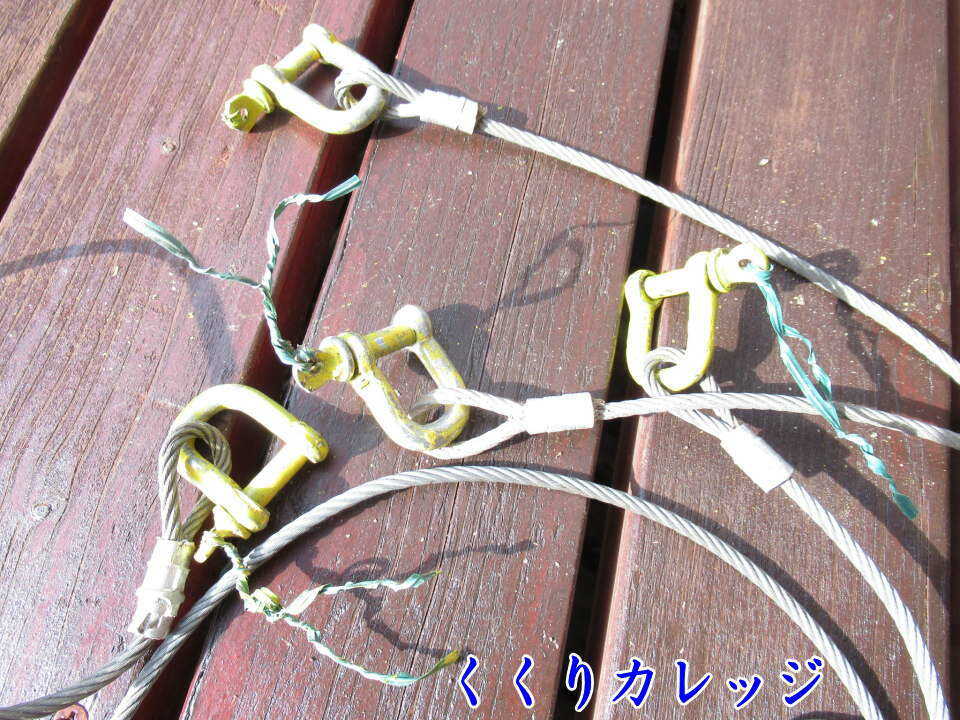 黄色いシャックル