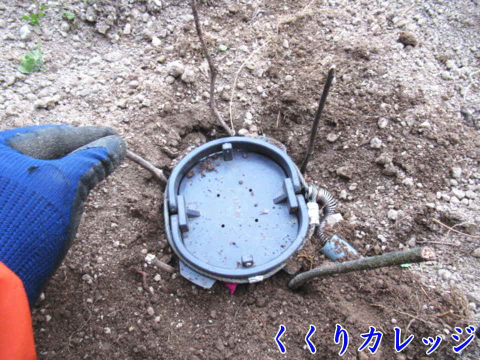 罠の周りに枝を数本さす