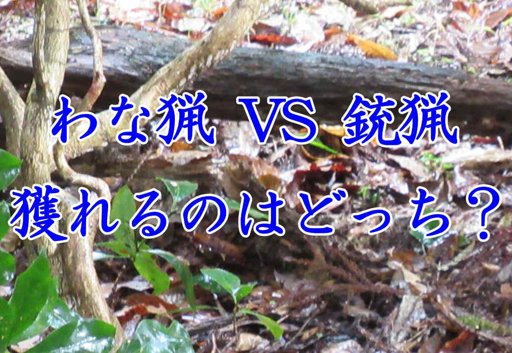 わな猟と銃猟 獲れるのはどっち？