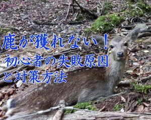 鹿が獲れない！