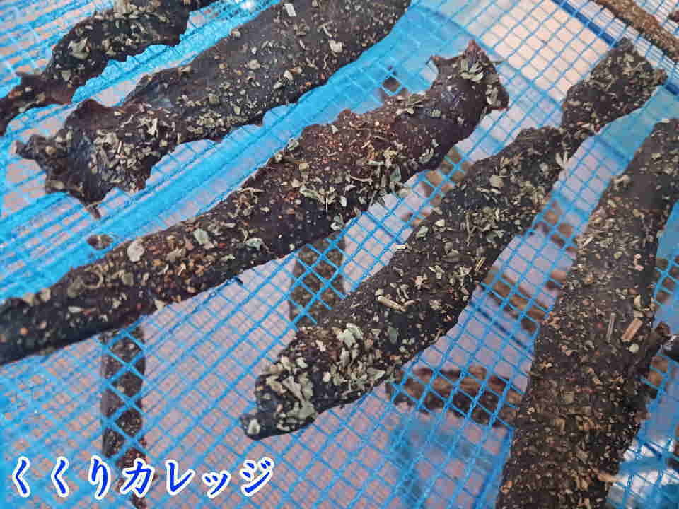 鹿肉を干す