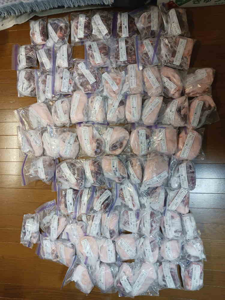 ７０キロの雌イノシシの肉
