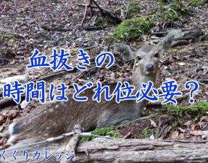 血抜き時間について