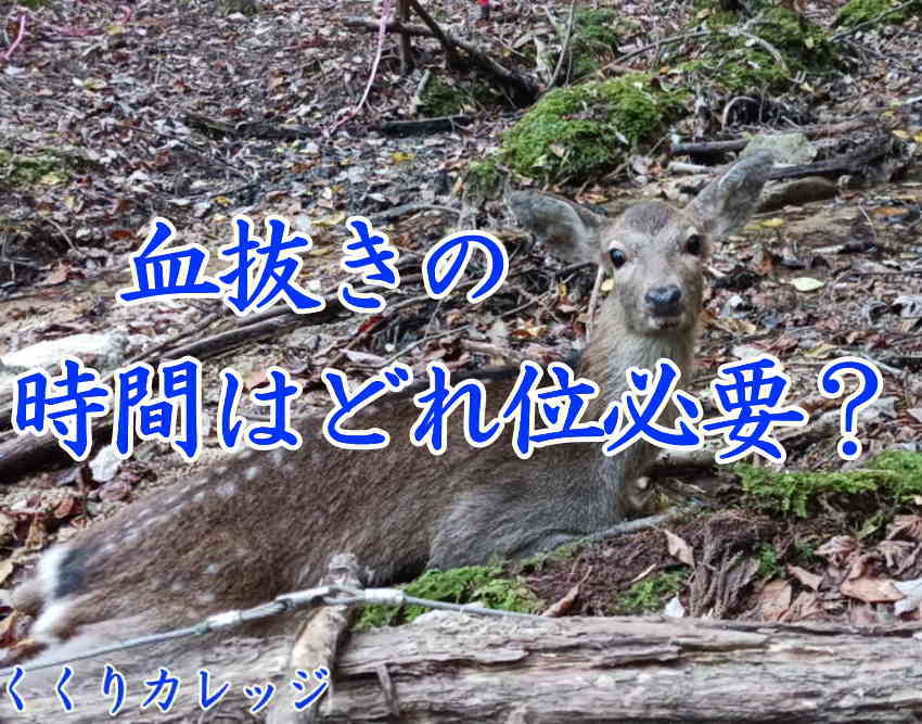 血抜き時間について