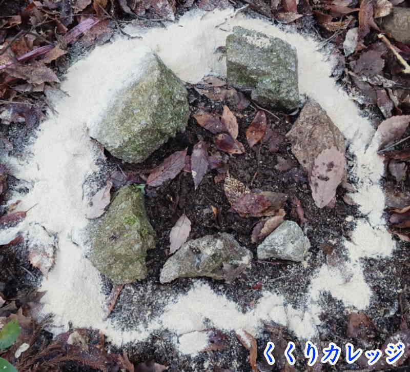 小林式誘引捕獲法