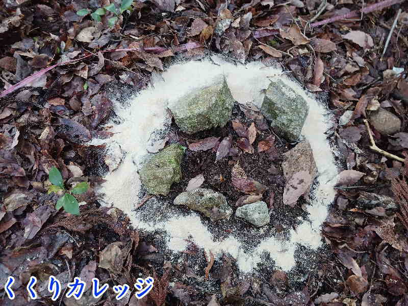 小林式誘引捕獲法
